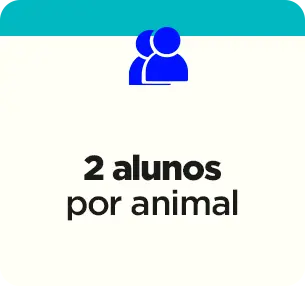 Agrupar 11
